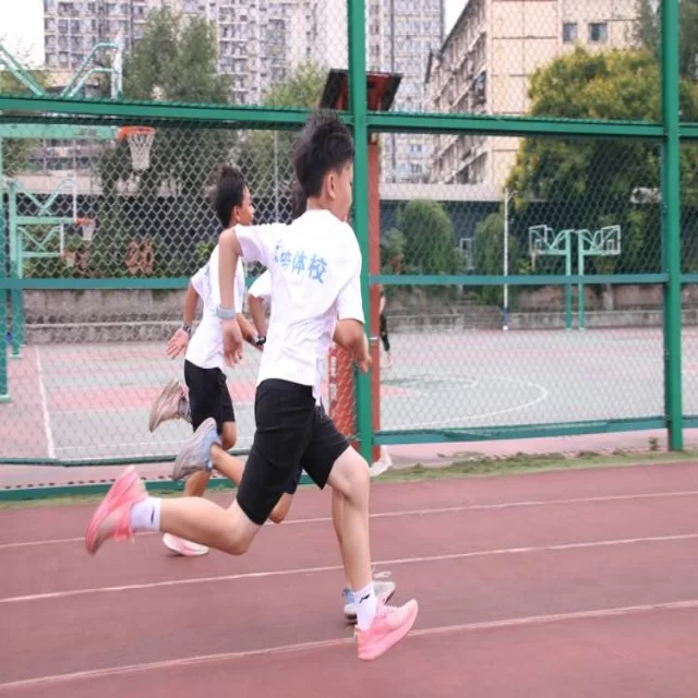 足球杯赛焦点对决：第218组阵容深度解析